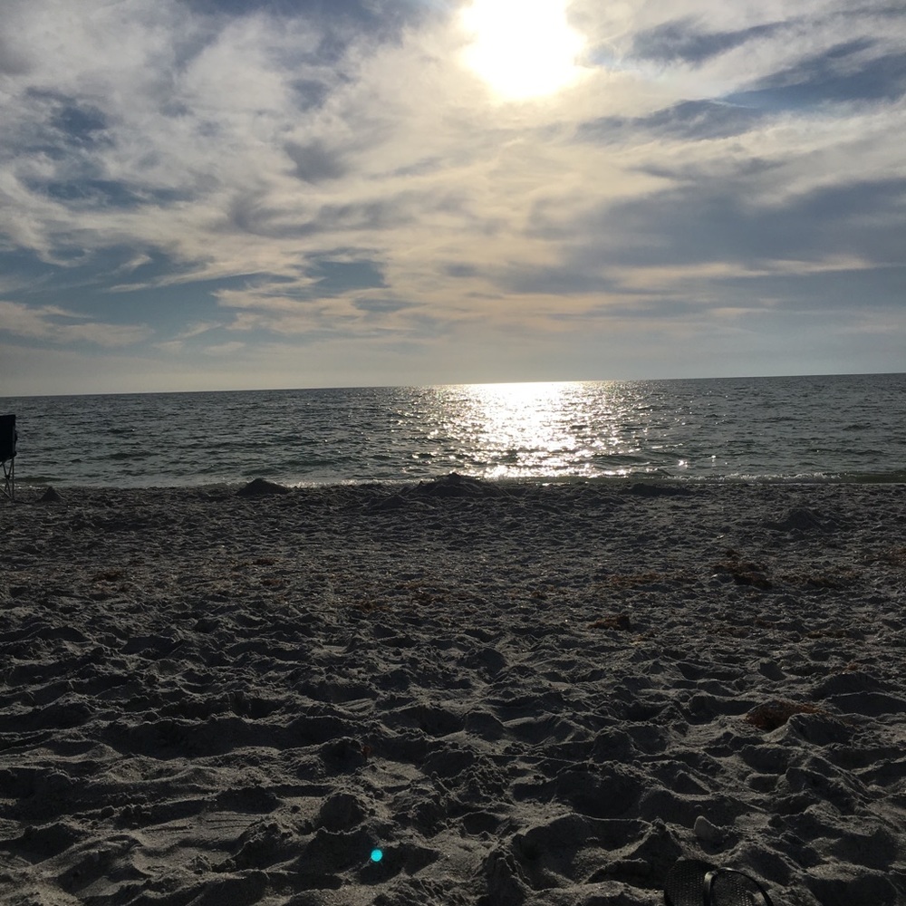 Meet your Posher, Sophia